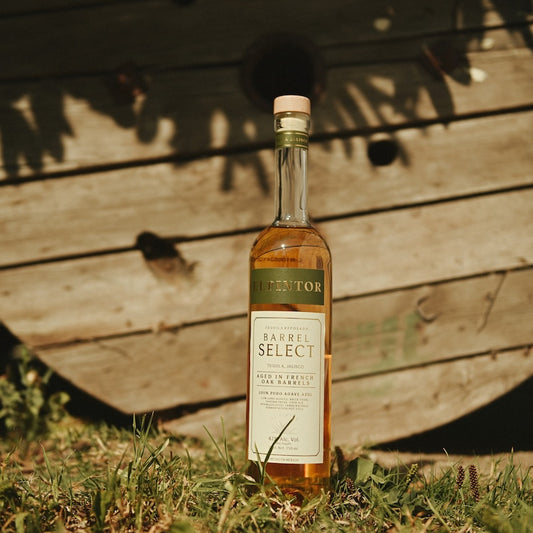 El Pintor Tequila Reposado (Tahona)