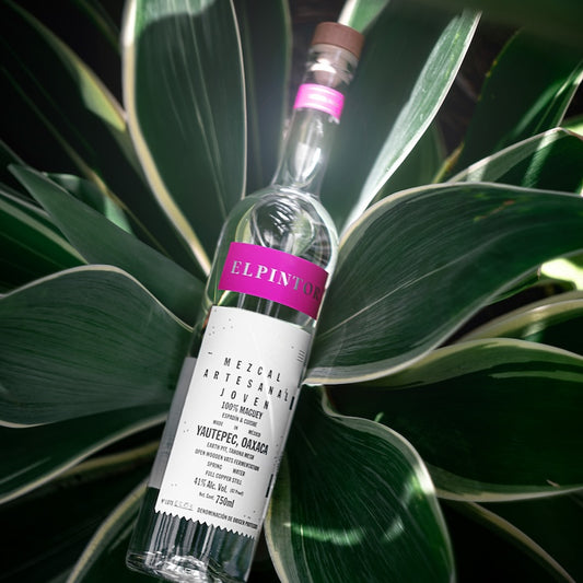 El Pintor Mezcal Ensamble